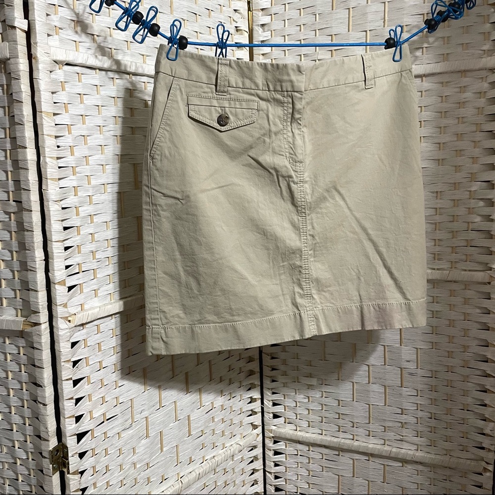 Skirt by Ann Taylor size 12P